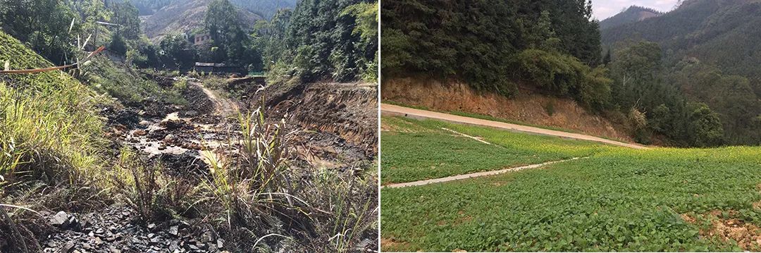 5c1caf6f77976.jpg 1.jpg