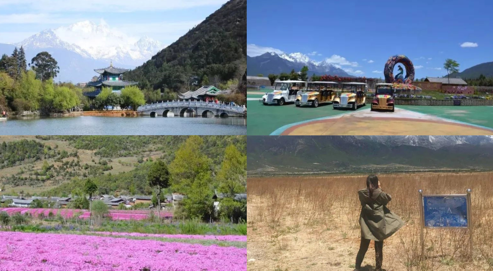 5d6854475c53a.png 8.png