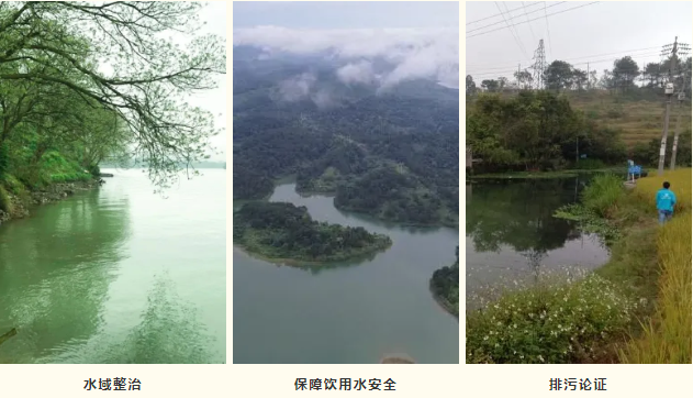 5f2355146de84.png 5.png